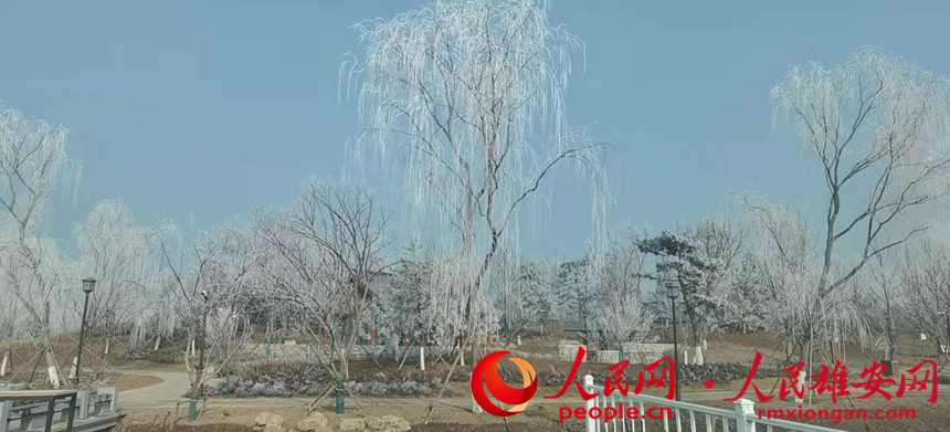 䭂֦RΔz