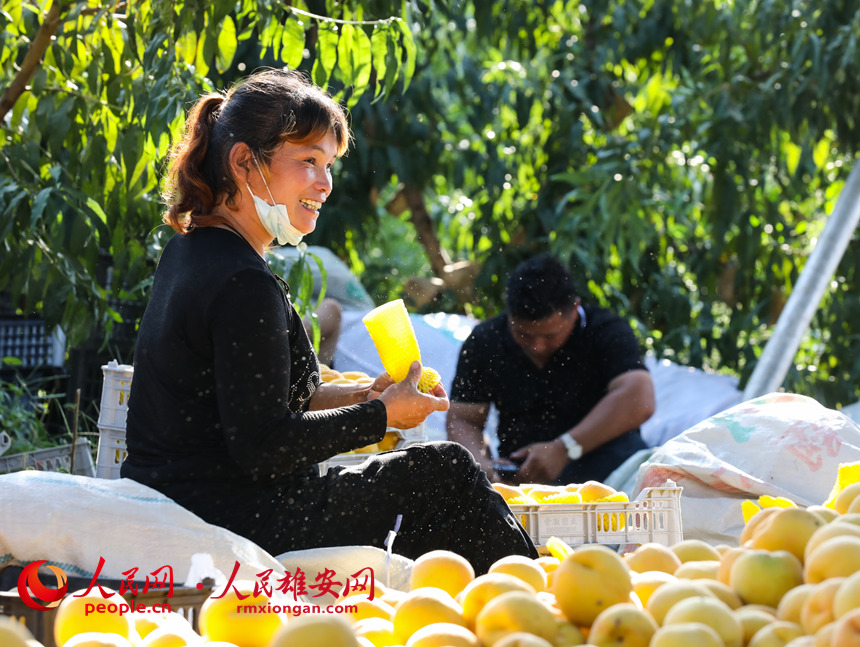 村民們正在將桃子打包。人民網 李兆民攝