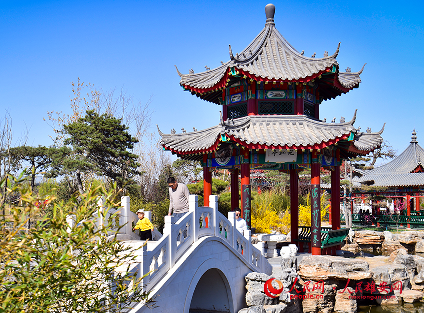 春天的雄安郊野公園，春和景明。人民網(wǎng)?宋燁文攝