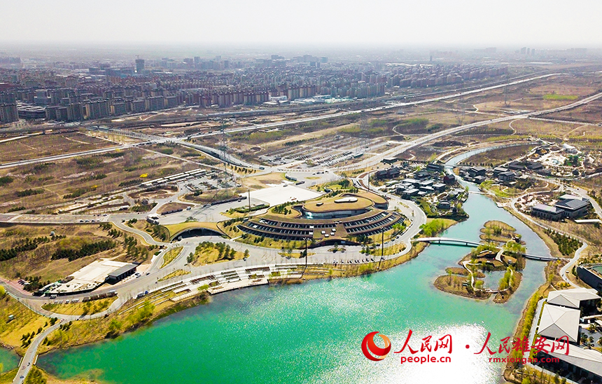 航拍雄安郊野公園。人民網(wǎng)?宋燁文攝