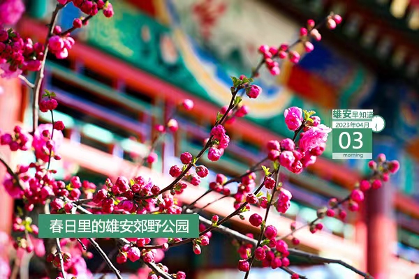                         ●雄安：大規(guī)模形態(tài)開(kāi)發(fā)正向功能開(kāi)發(fā)、平臺(tái)開(kāi)發(fā)推進(jìn)。●雄才卡線上申領(lǐng)工作常態(tài)化，每月1日-10日可申報(bào)。●青年人才驛站、青年人才公寓入住申請(qǐng)工作啟動(dòng)。●雄安昝崗組團(tuán)有23個(gè)地點(diǎn)正式命名。●雄安招人，從事水利泵站建設(shè)、運(yùn)營(yíng)相關(guān)工作。            