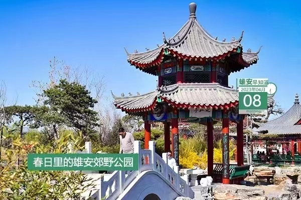                        ●雄安新區(qū)黨工委2023年第一輪巡察完成進(jìn)駐。●雄忻高鐵雄保段計(jì)到明年實(shí)現(xiàn)大橋主體全部完工。●雄安公安政務(wù)服務(wù)事項(xiàng)可“一站式辦結(jié)”。●創(chuàng)新公章刻制備案管理，雄安出臺(tái)新措施。???            