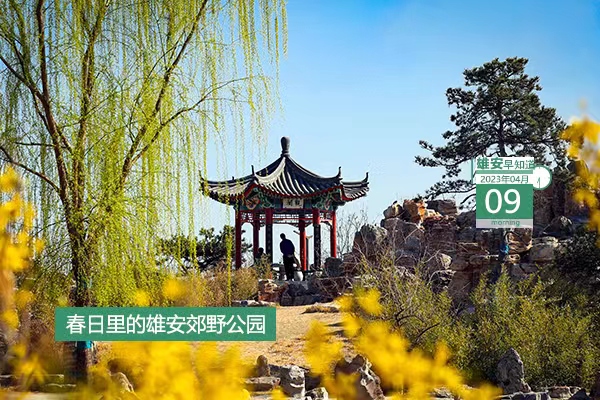             ●雄安外圍骨干交通路網(wǎng)、內(nèi)部骨干道路體系基本成形。●雄安國(guó)貿(mào)中心即將轉(zhuǎn)入地下主體結(jié)構(gòu)施工。●營(yíng)造“園在城中”的綠色生活環(huán)境，雄安容東真不錯(cuò)。●白洋淀新出行方式即將正式亮相。???            