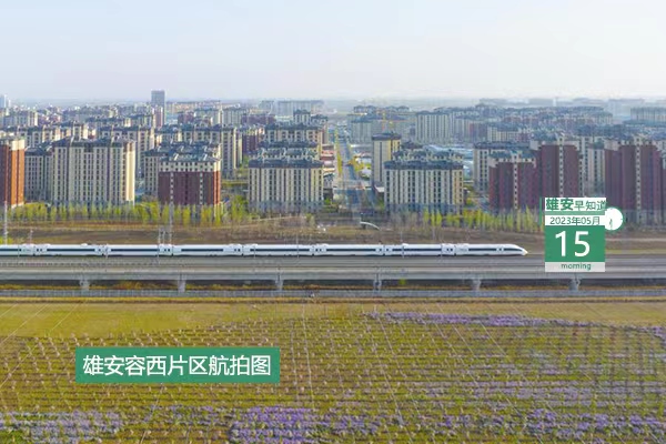                         ●雄安：努力建設(shè)成為新時(shí)代的創(chuàng)新高地和創(chuàng)業(yè)熱土。●雄安科學(xué)園已有一大批企業(yè)入駐。●雄安“三校一院”的中、小學(xué)招聘教職工59人。●雄安兩縣出行有變，詳情→  