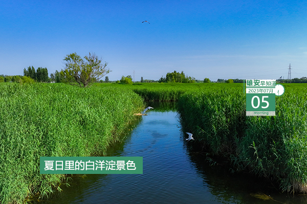                         ●雄安將重點(diǎn)推進(jìn)雄安工業(yè)設(shè)計(jì)“五個(gè)一工程”。●雄安職工門(mén)（急）診醫(yī)療費(fèi)用支付規(guī)定來(lái)了。●雄安綜保區(qū)有7大功能區(qū)，計(jì)劃重點(diǎn)發(fā)展4大產(chǎn)業(yè)。●雄安雄東片區(qū)B單元新增47座樓棟封頂。 