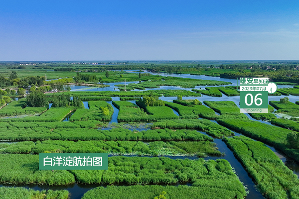                         ●深圳：不斷加強(qiáng)與雄安建設(shè)的對(duì)接聯(lián)動(dòng)，深化各領(lǐng)域深層次務(wù)實(shí)合作。●雄安新區(qū)職工住房公積金繳存基數(shù)有調(diào)整。●重點(diǎn)解決社區(qū)內(nèi)問(wèn)題，雄安容東探索建立“一呼聯(lián)應(yīng)”機(jī)制。●雄安新區(qū)中考成績(jī)一分一檔統(tǒng)計(jì)表公布。 