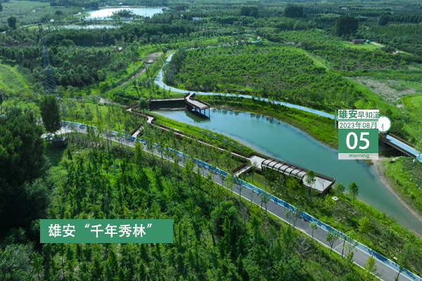                         ●張國(guó)華：落實(shí)落細(xì)防汛和安全生產(chǎn)各項(xiàng)工作任務(wù)。●航天科技集團(tuán)將加快相關(guān)產(chǎn)業(yè)項(xiàng)目落地，推動(dòng)更多創(chuàng)新要素資源向雄安集聚。●雄安新區(qū)技能人才統(tǒng)計(jì)工作全面開(kāi)啟。●轉(zhuǎn)擴(kuò)！雄安人力資源服務(wù)有限公司面向社會(huì)公開(kāi)招聘18人。 