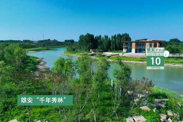                         ●關(guān)于地?zé)嵘a(chǎn)井鉆井技術(shù)，雄安一新規(guī)印發(fā)。●雄安中院全省率先開(kāi)啟“無(wú)紙化辦案”新模式。●注意，雄安2023年“三支一扶”招募人員體檢通知發(fā)布。●好消息！雄東B單元安置房各標(biāo)段工程均已復(fù)工。 