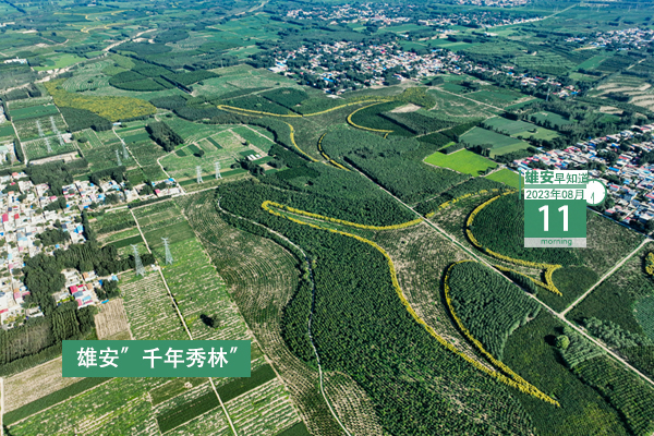                         ●目前，新區(qū)防汛抗洪工作總體形勢(shì)平穩(wěn)。●184億→2554億，雄安本外幣貸款余額6年增長(zhǎng)近14倍。●雄安第三屆集體婚禮來(lái)了！●雄安一人獲國(guó)家級(jí)榮譽(yù)稱(chēng)號(hào)。 
