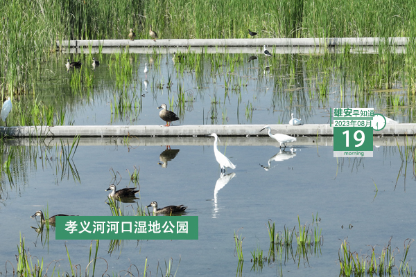                         ●院士專(zhuān)家齊聚雄安，就生物醫(yī)藥產(chǎn)業(yè)發(fā)展做研討。●雄安印發(fā)新方案，聚焦解決企業(yè)問(wèn)題癥結(jié)。●雄安擬推薦省見(jiàn)義勇為英雄（群體）候選人正在公示。●雄縣事業(yè)單位招聘人員筆試時(shí)間確定。 