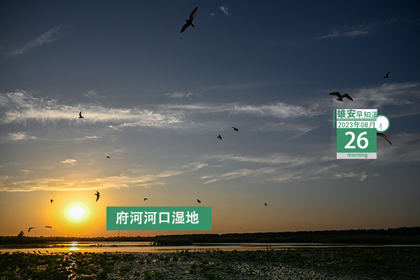                         ●張國(guó)華：加快打造高水平城市大腦，努力讓城市更聰明、治理更精細(xì)。●雄安實(shí)現(xiàn)醫(yī)保權(quán)益實(shí)時(shí)到賬。●雄安新區(qū)：藍(lán)綠交織，水城一體，優(yōu)美畫(huà)卷徐徐鋪展。●雄安新選聘骨干教師人員正在公示→  