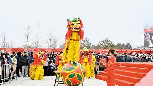 1月31日，“春節(jié)·雄安獅舞大會(huì)”精彩啟幕。圖為雄安洪亮龍獅隊(duì)正在表演《金珠鬧春》。本報(bào)記者 郝金鈺攝